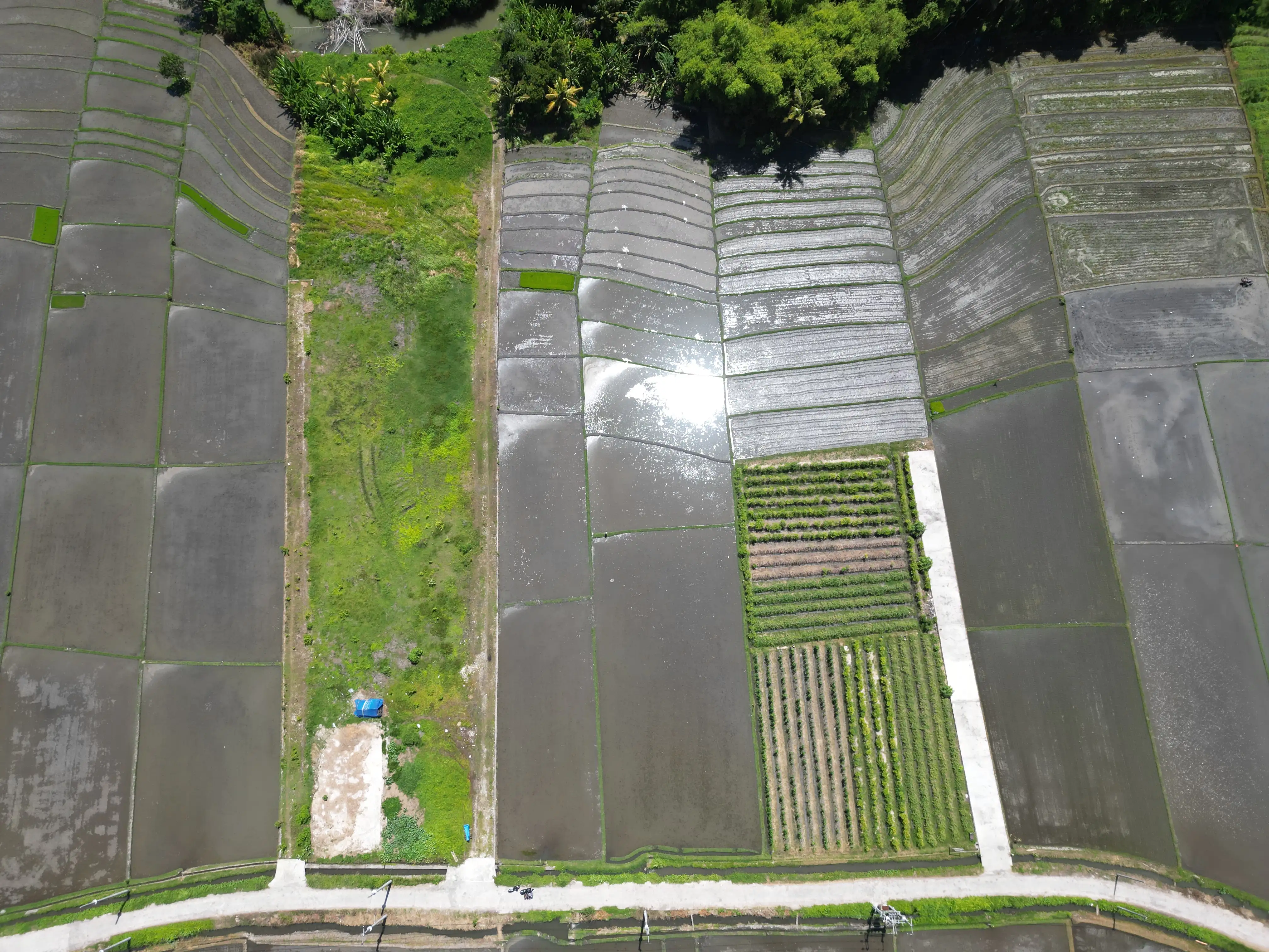 Land 0m² in Indonesia, Kedungu. Priced at 373199$ rent photo-3