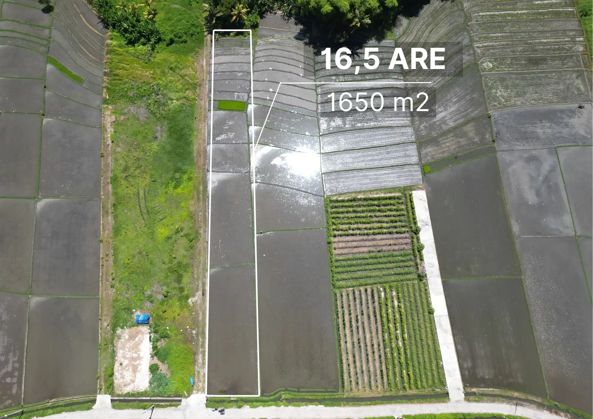 Land 0m² in Indonesia, Kedungu. Priced at 373199$ rent photo-4