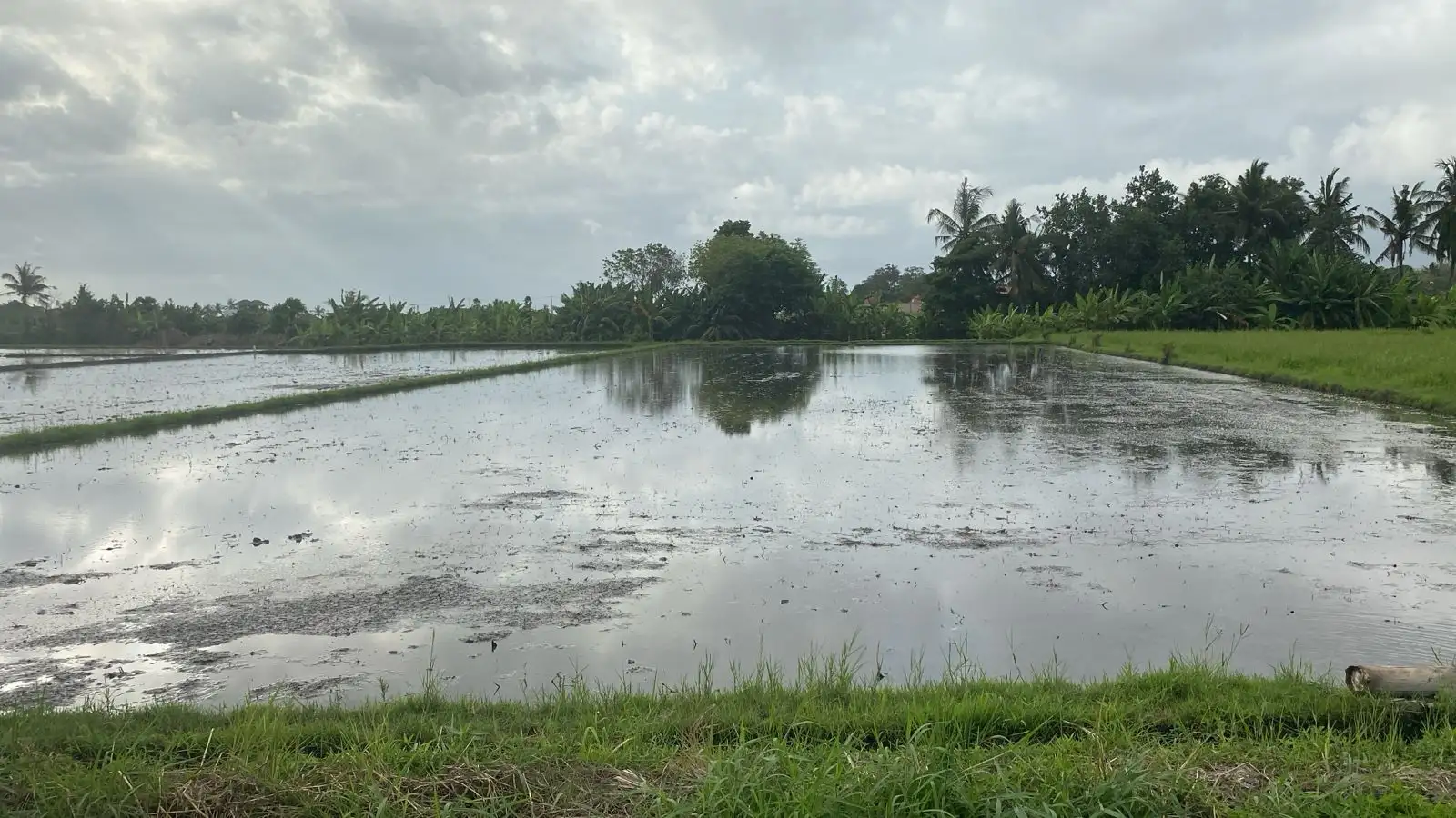 Land 0m² in Indonesia, Kedungu. Priced at 567069$ rent photo-1