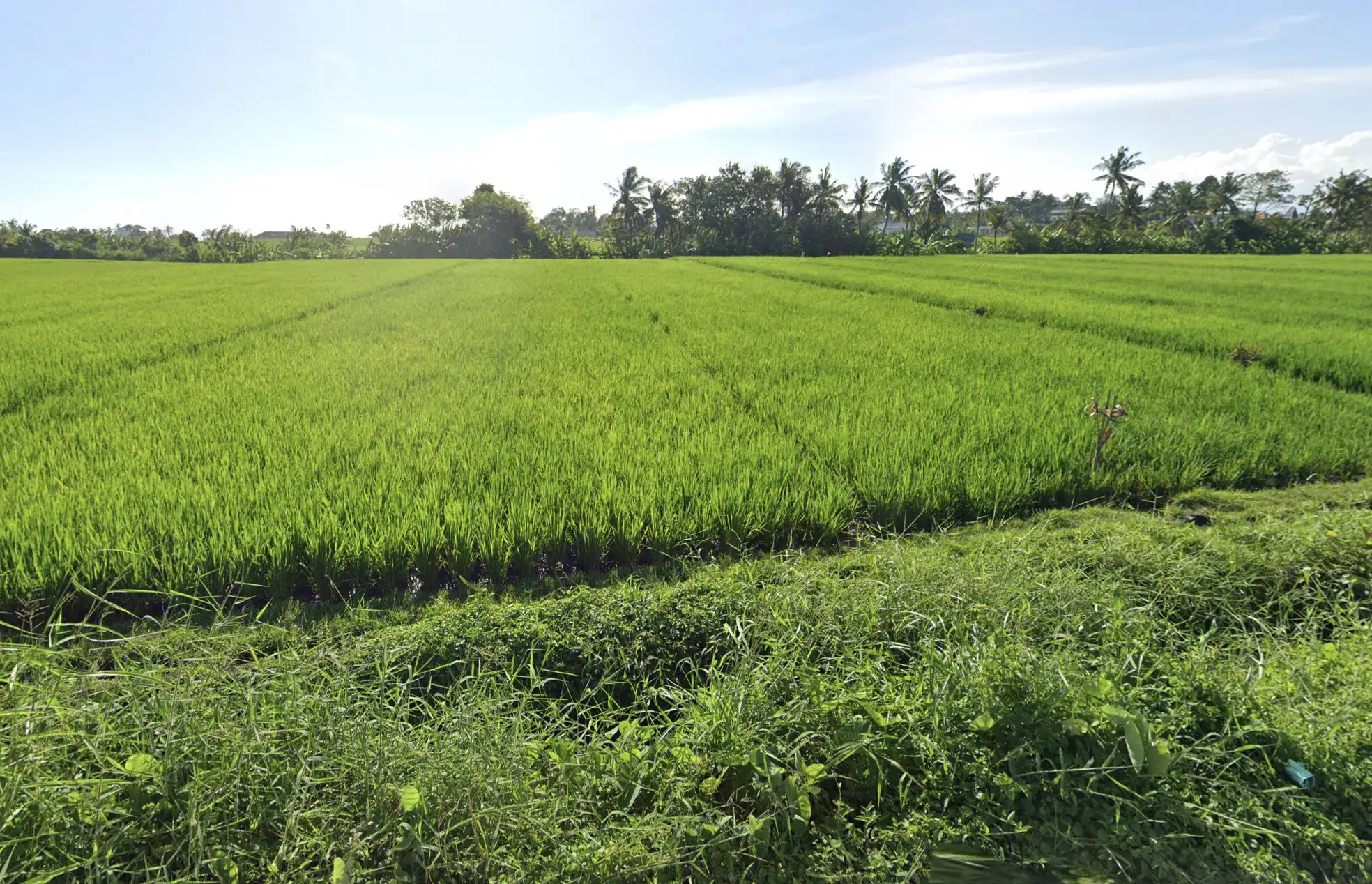 Land 0m² in Indonesia, Kedungu. Priced at 567069$ rent photo-3