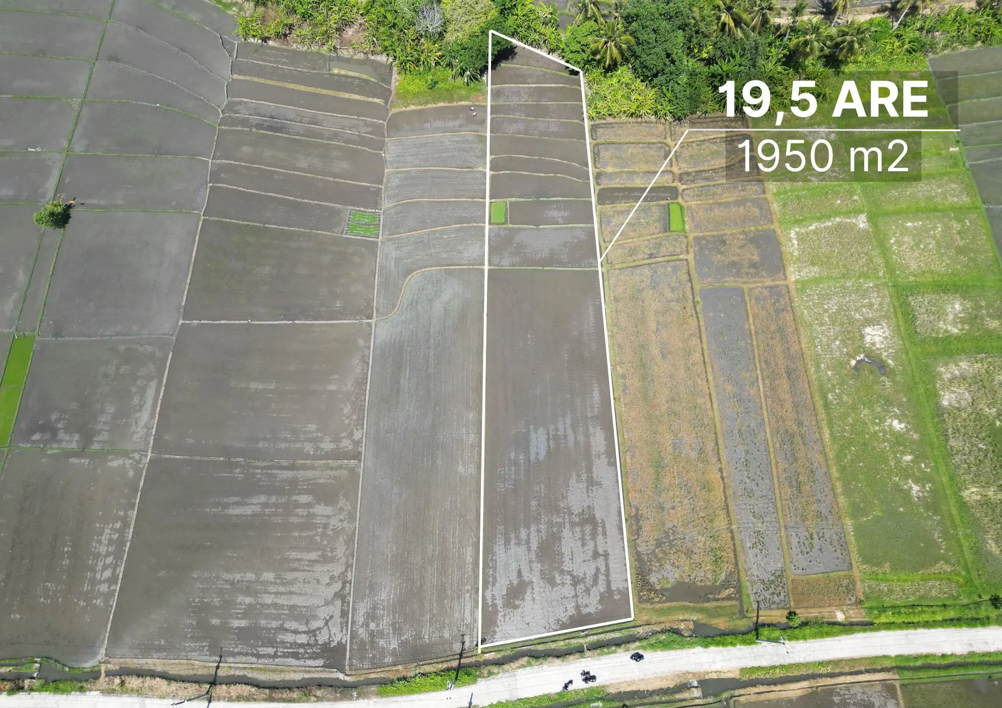 Land 0m² in Indonesia, Kedungu. Priced at 567069$ rent photo-5