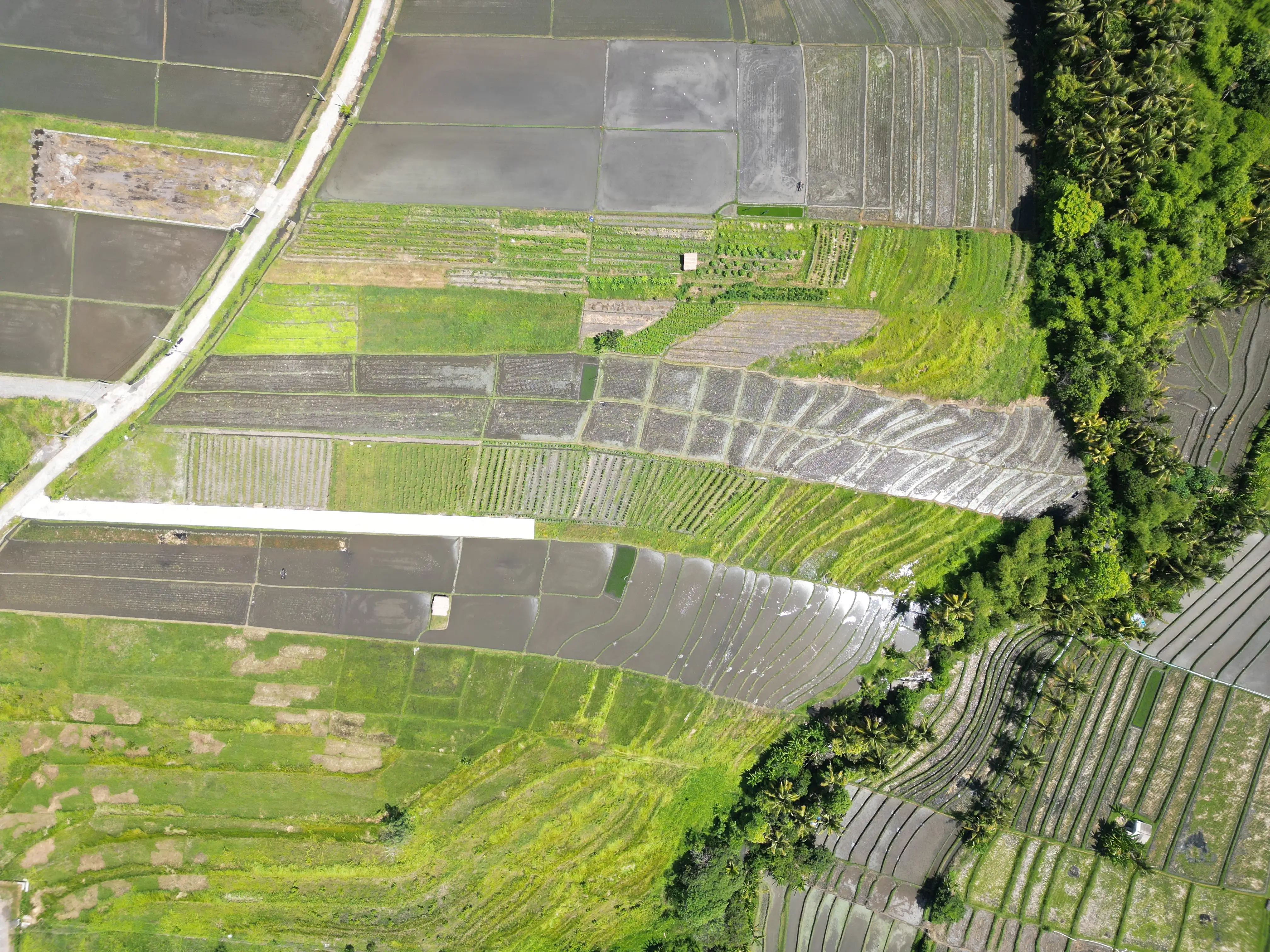 Land 0m² in Indonesia, Kedungu. Priced at 633308$ rent photo-4