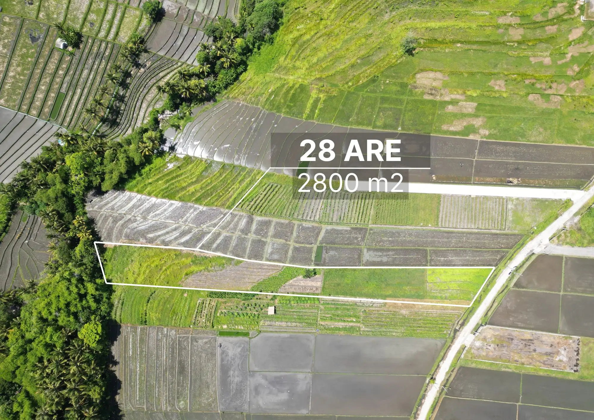 Land 0m² in Indonesia, Kedungu. Priced at 633308$ rent photo-5