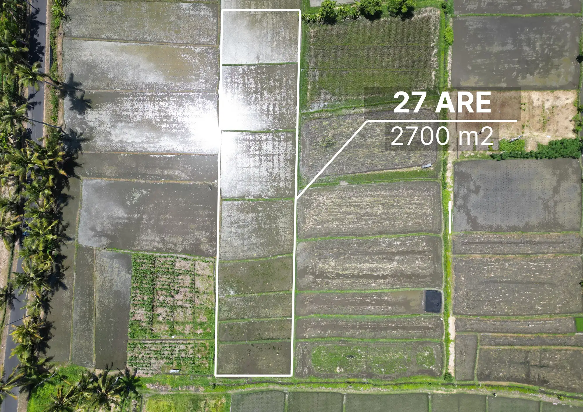 Land 0m² in Indonesia, Kedungu. Priced at 523449$ rent photo-4