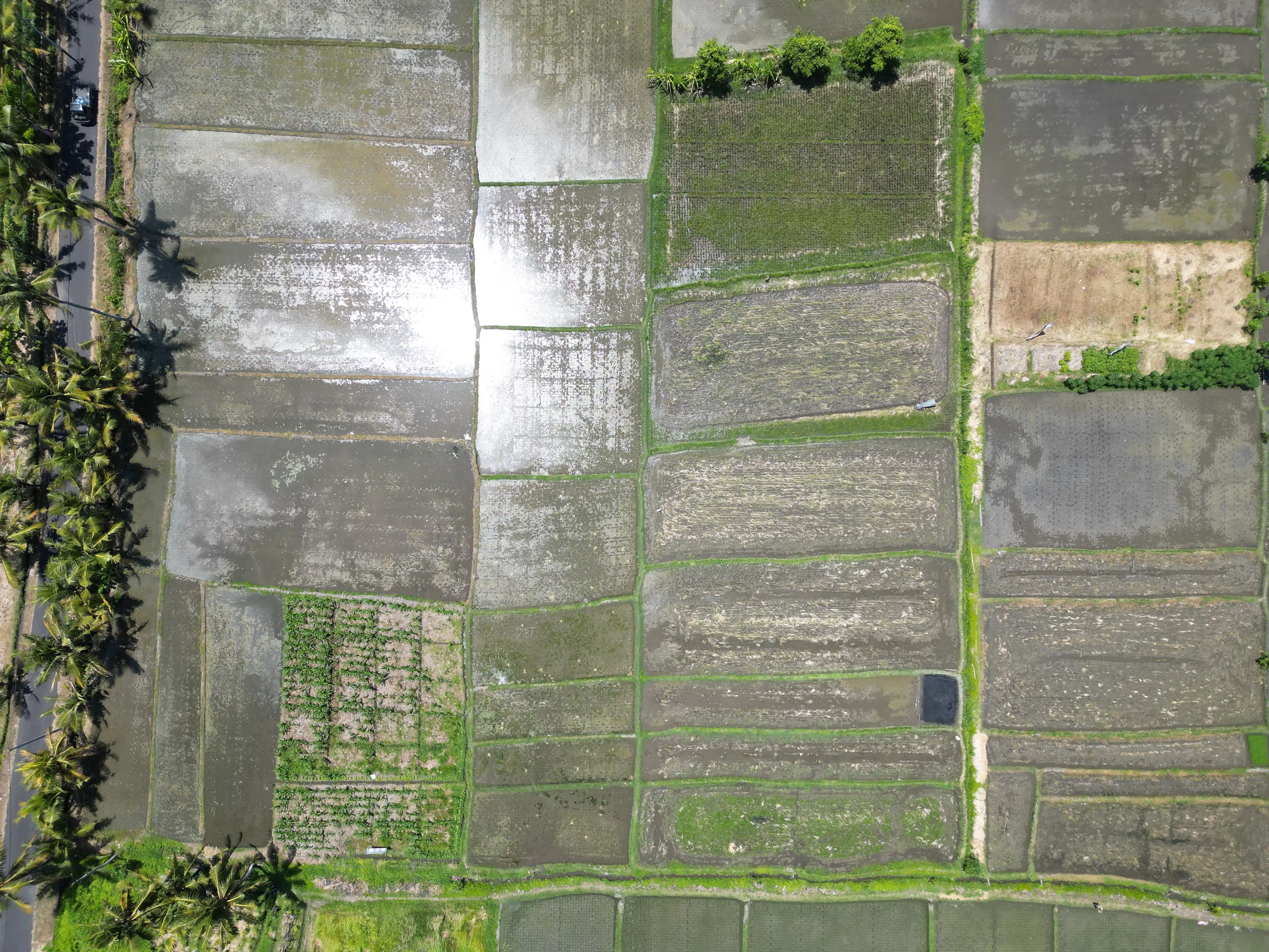 Land 0m² in Indonesia, Kedungu. Priced at 1046897$ rent photo-3