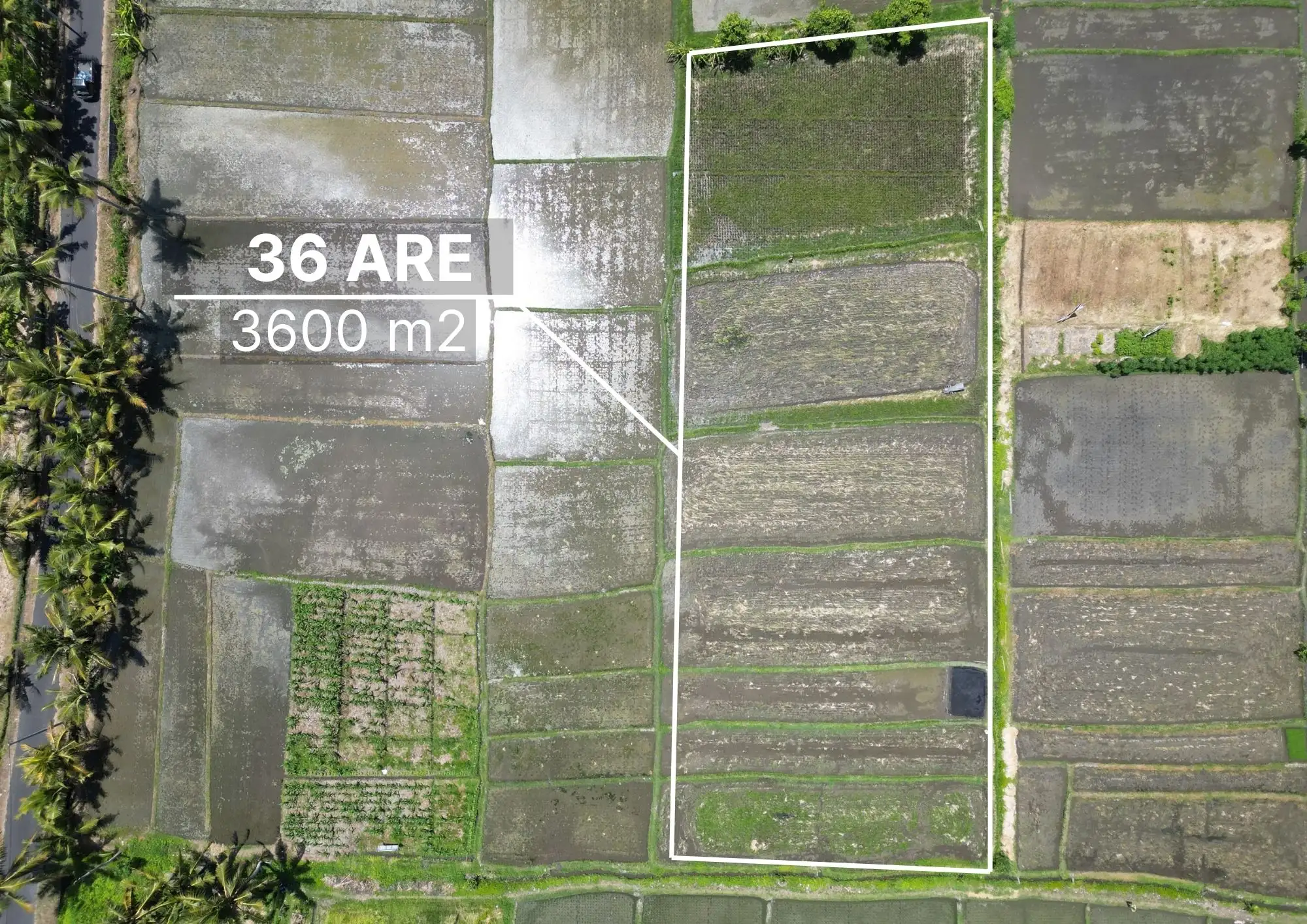 Land 0m² in Indonesia, Kedungu. Priced at 1046897$ rent photo-4