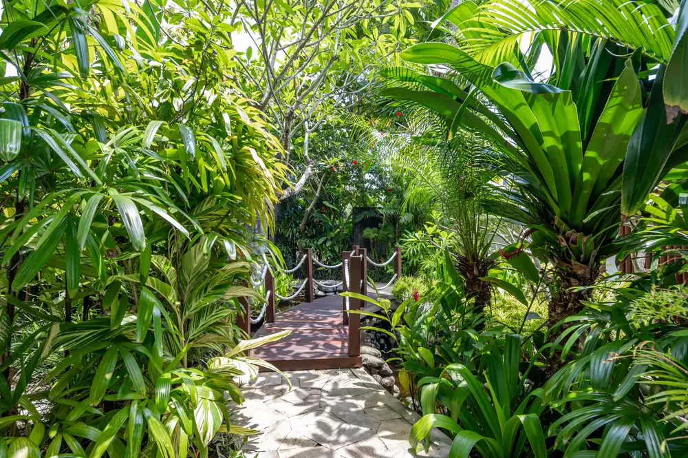 Villa 625m² in Indonesia, Canggu. Priced at 1200000$ rent photo-12