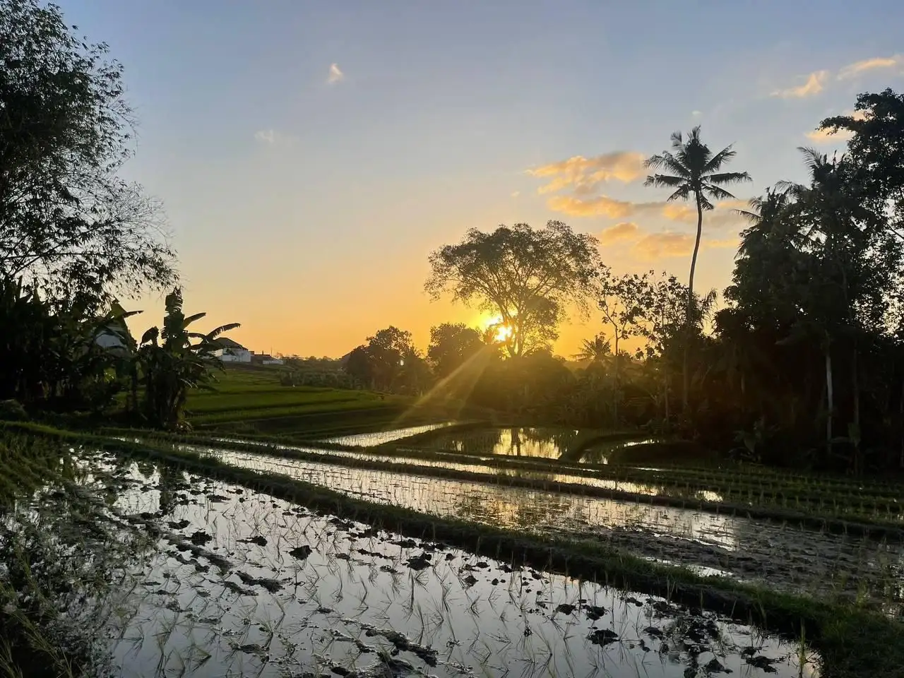 Land 0m² in Indonesia, Canggu. Priced at 280122$ rent photo-3