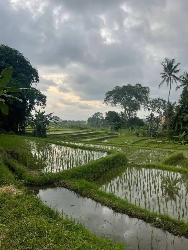 Land 0m² in Indonesia, Canggu. Priced at 280122$ rent photo-4