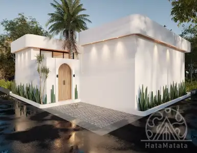 Buy in Indonesia for 210000$