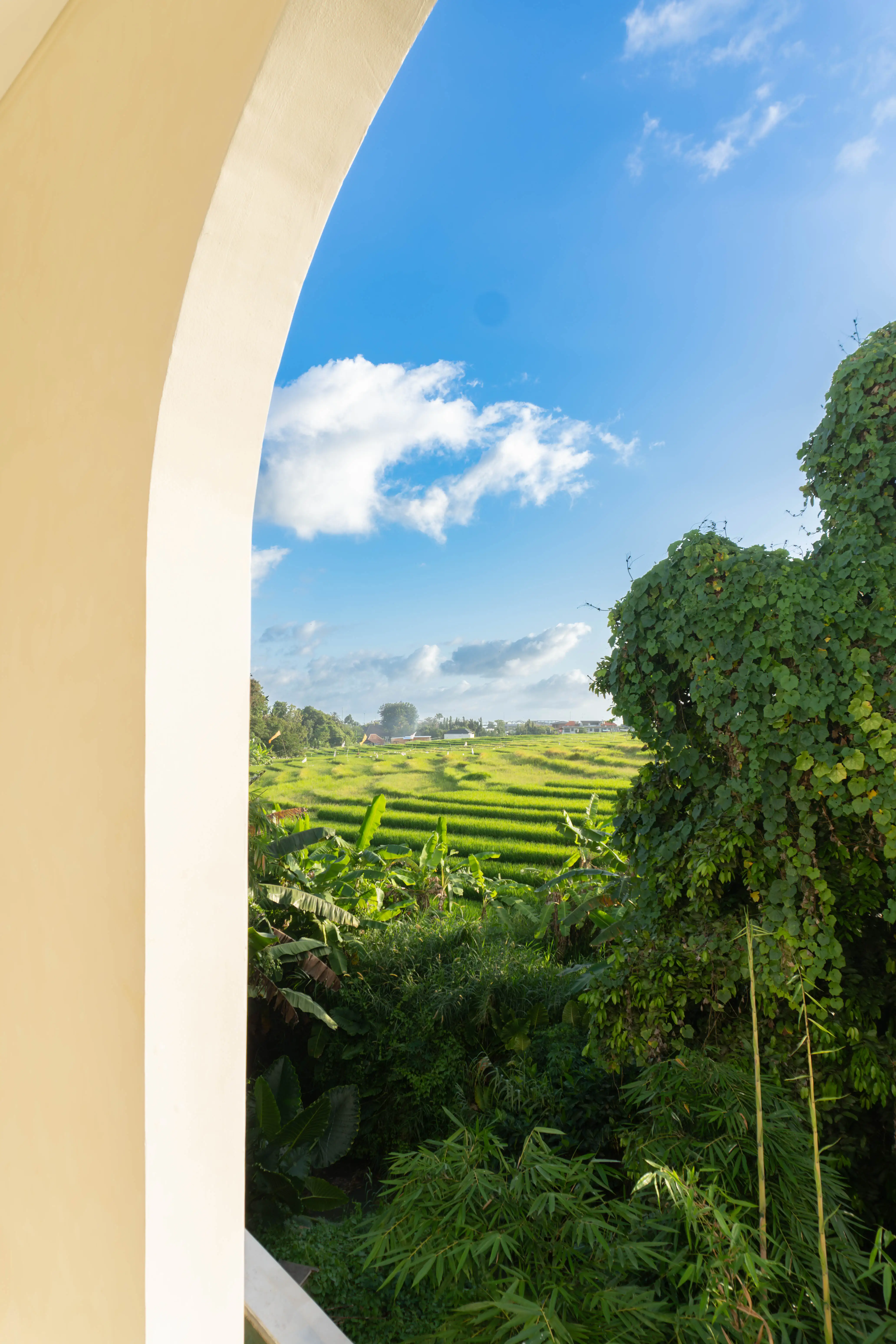 Villa 252m² in Indonesia, Canggu. Priced at 650000$ rent photo-6