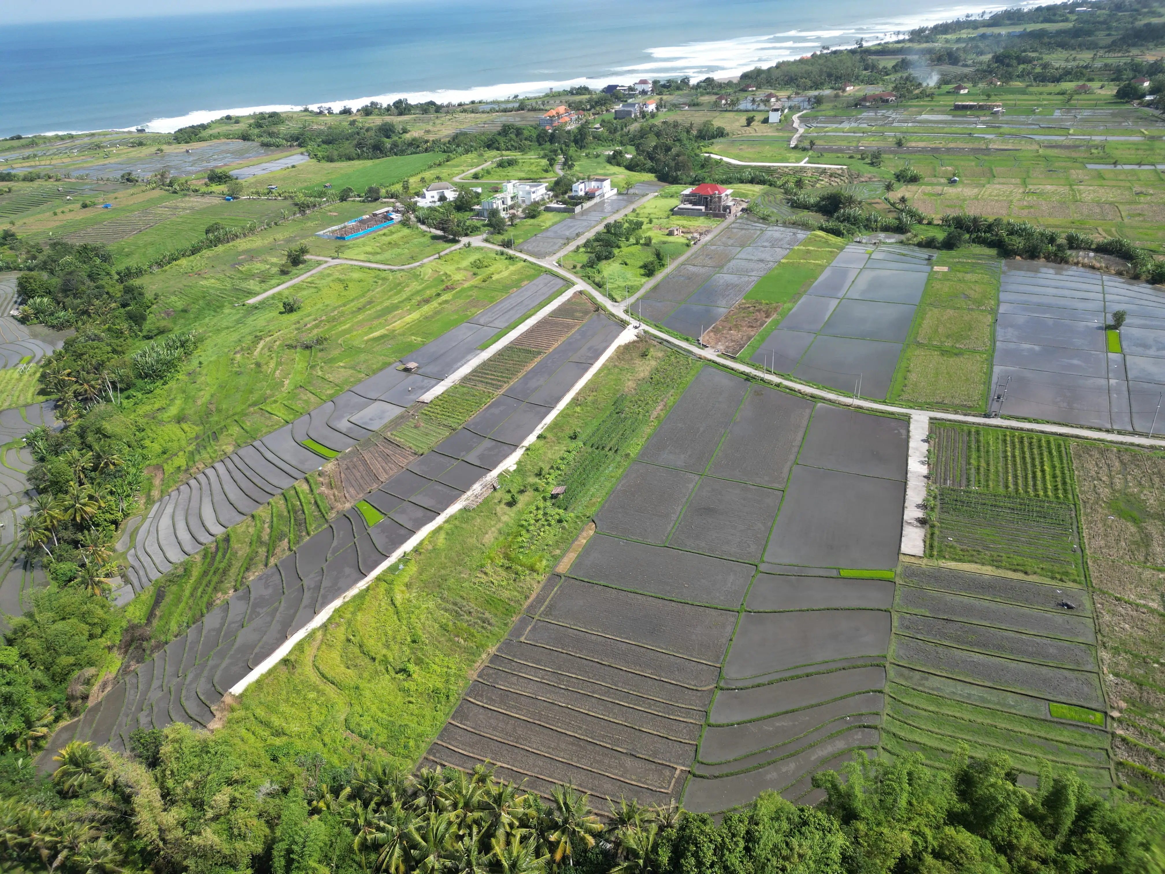 Land 0m² in Indonesia, Kedungu. Priced at 234259$ rent photo-5