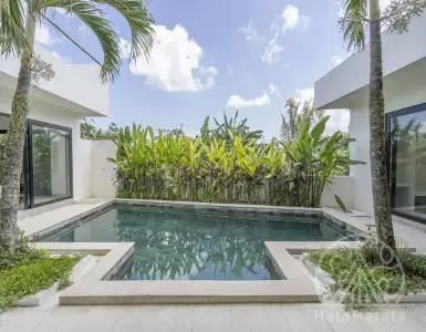 Buy in Indonesia for 250000$