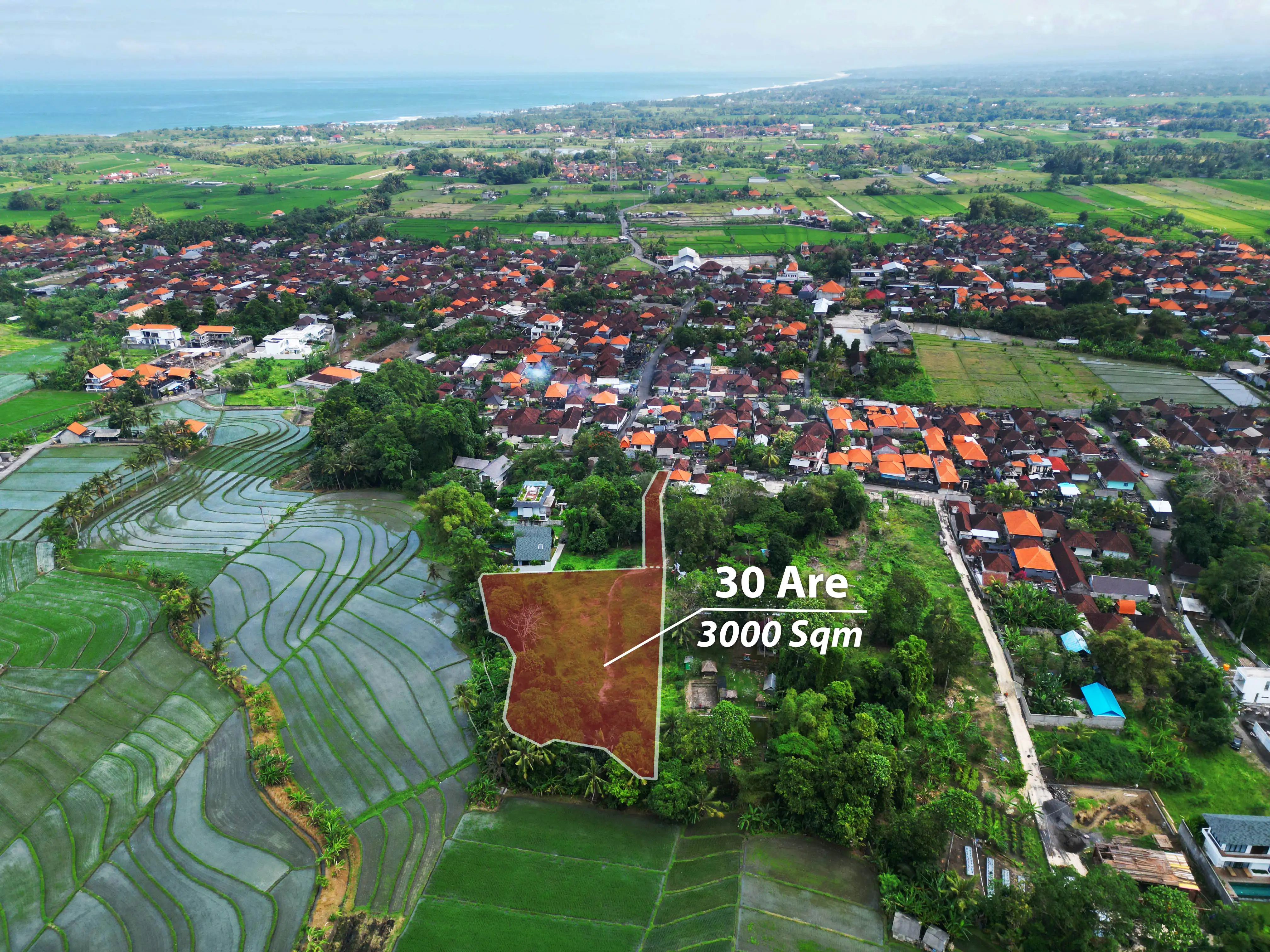 Land 0m² in Indonesia, Tabanan. Priced at 870000$ rent photo-4
