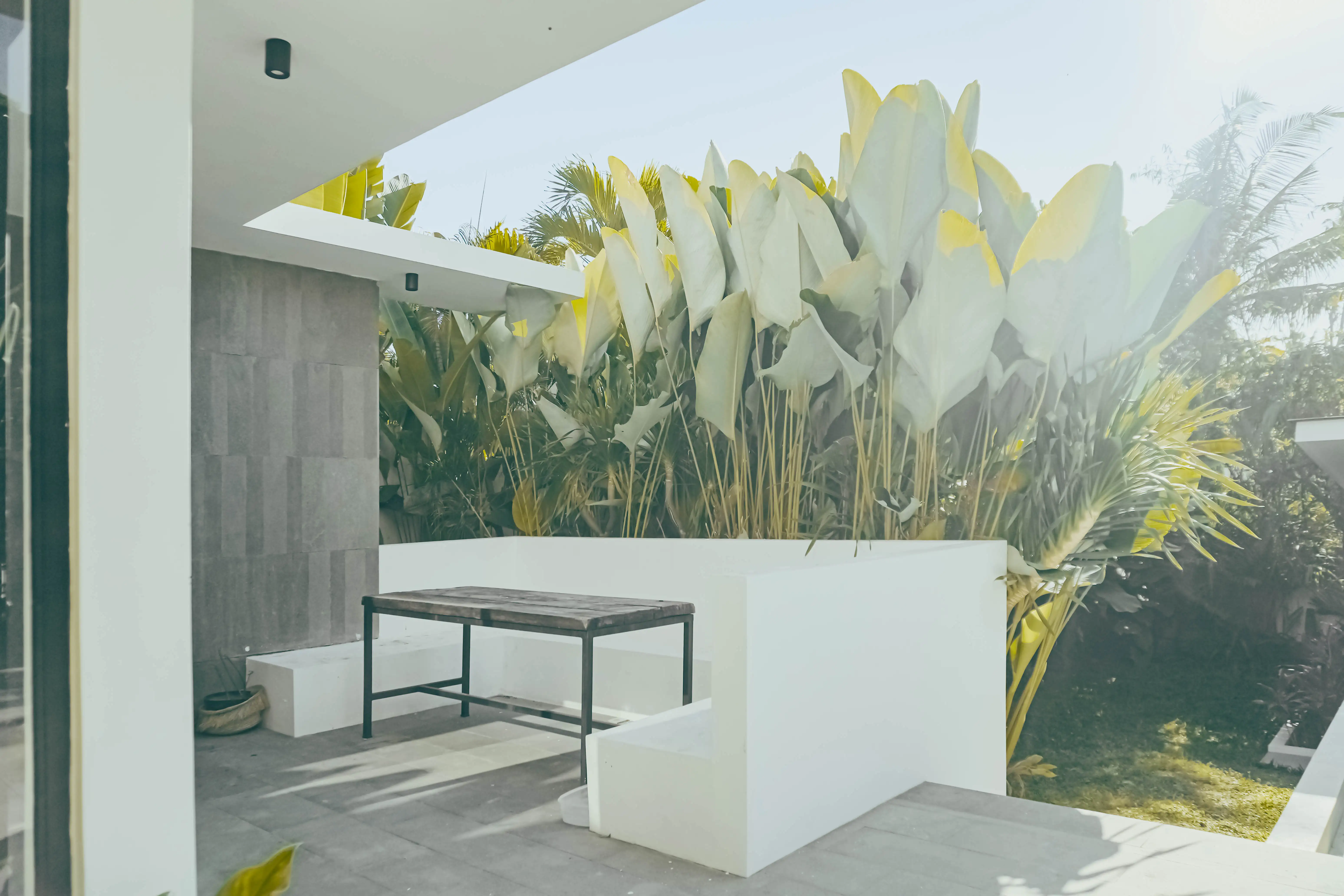 Villa 250m² in Indonesia, Canggu. Priced at 450000$ rent photo-4