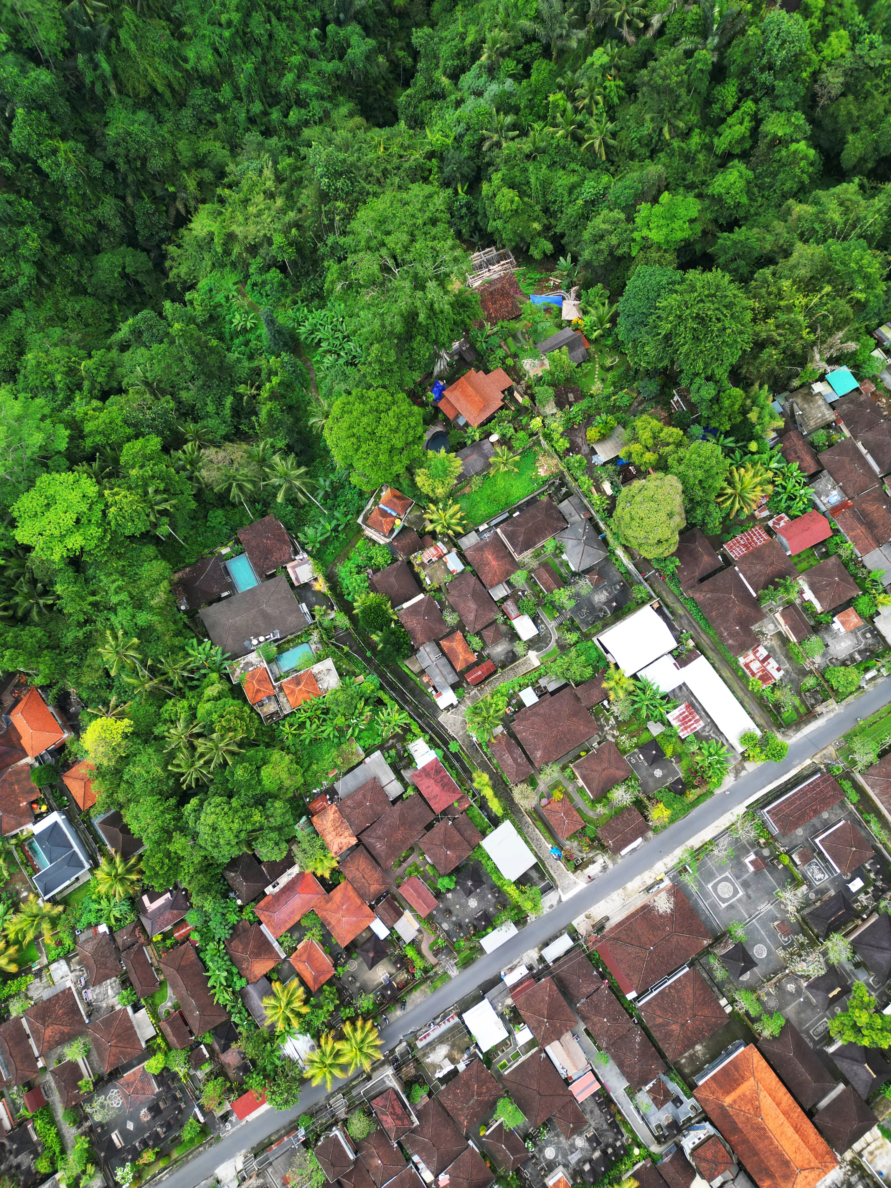Land 0m² in Indonesia, Ubud. Priced at 2252000$ rent photo-1