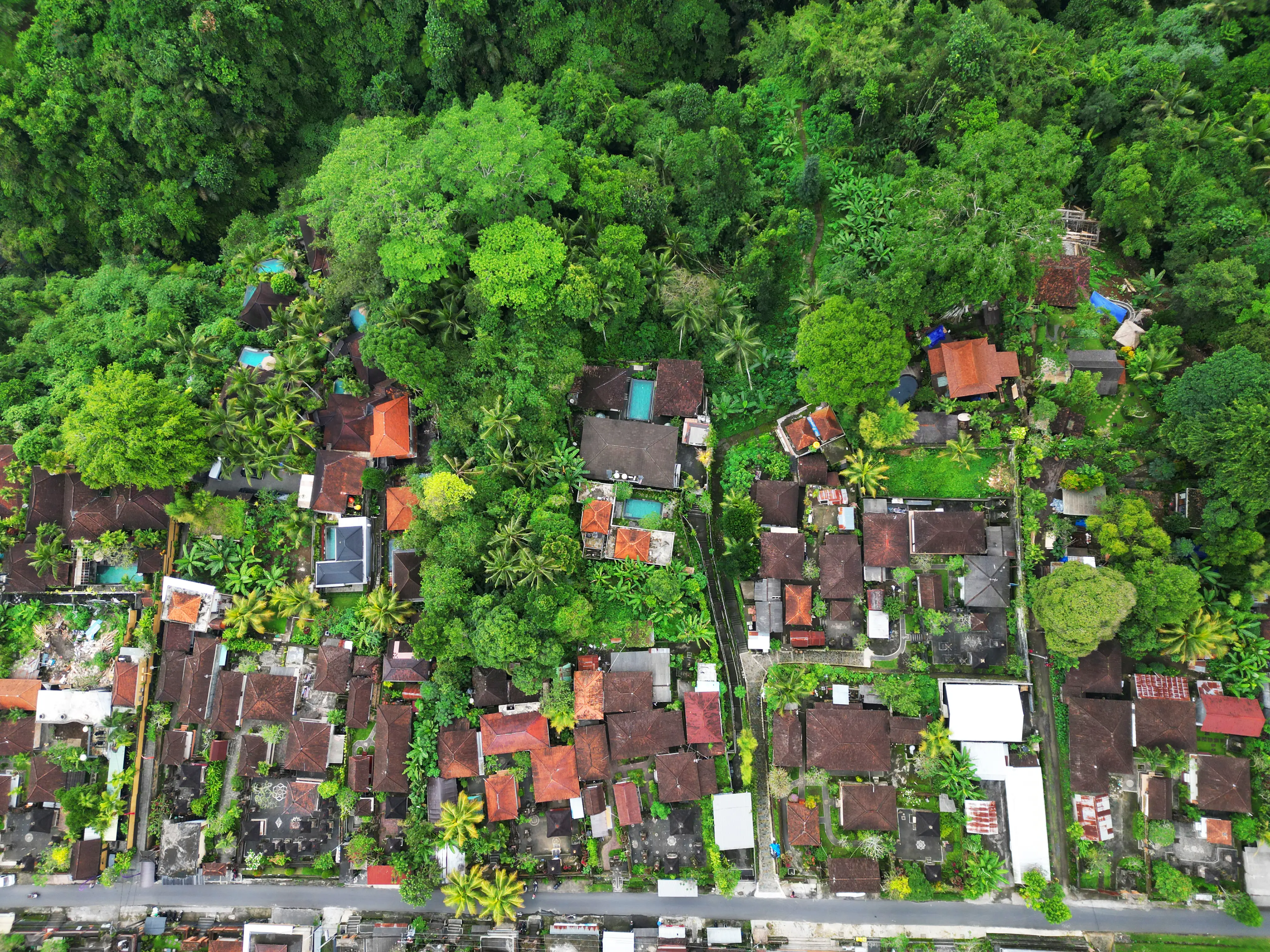 Land 0m² in Indonesia, Ubud. Priced at 2252000$ rent photo-2