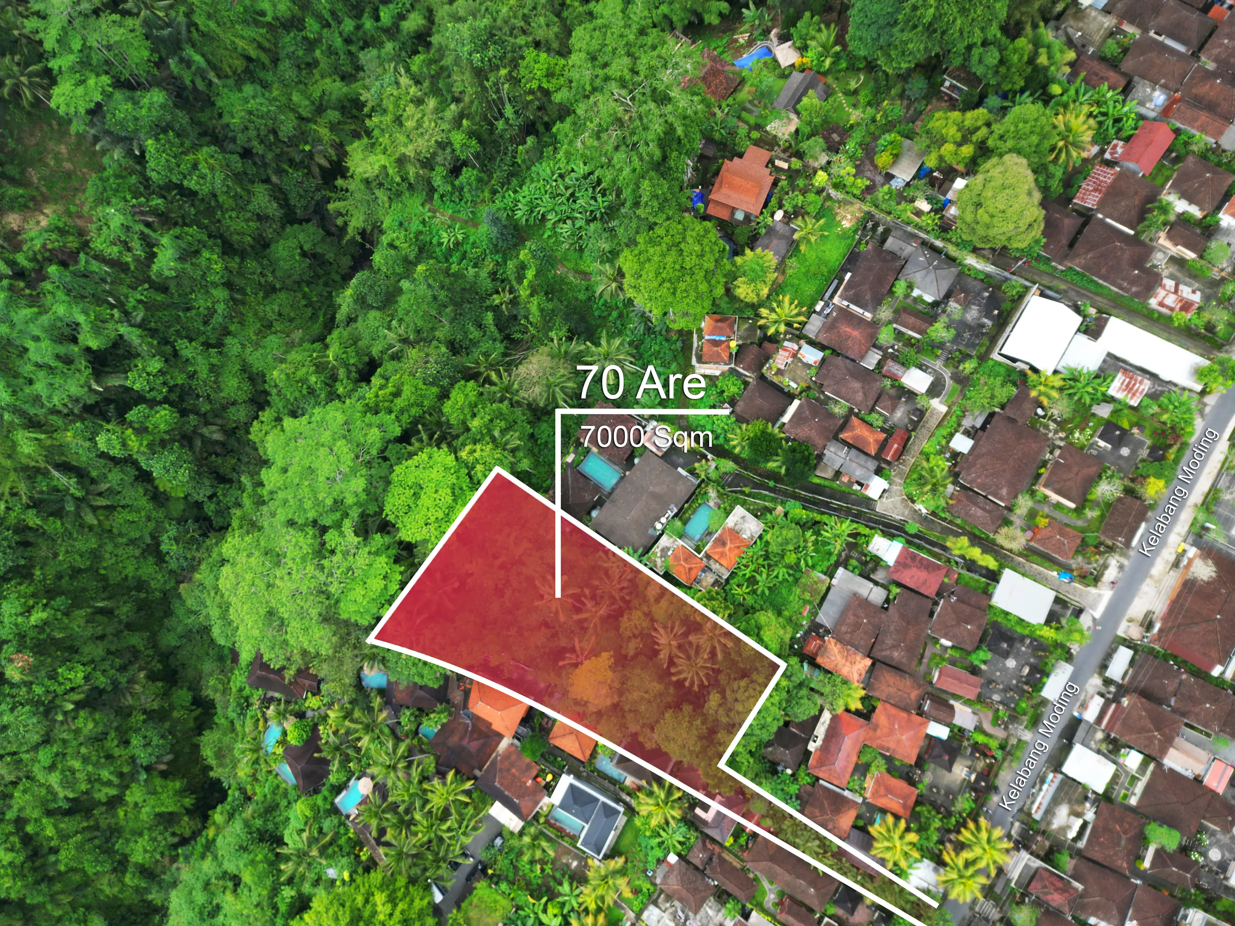 Land 0m² in Indonesia, Ubud. Priced at 2252000$ rent photo-4