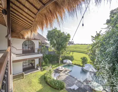 Buy in Indonesia for 665000$