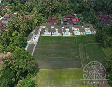 Buy in Indonesia for 315000$