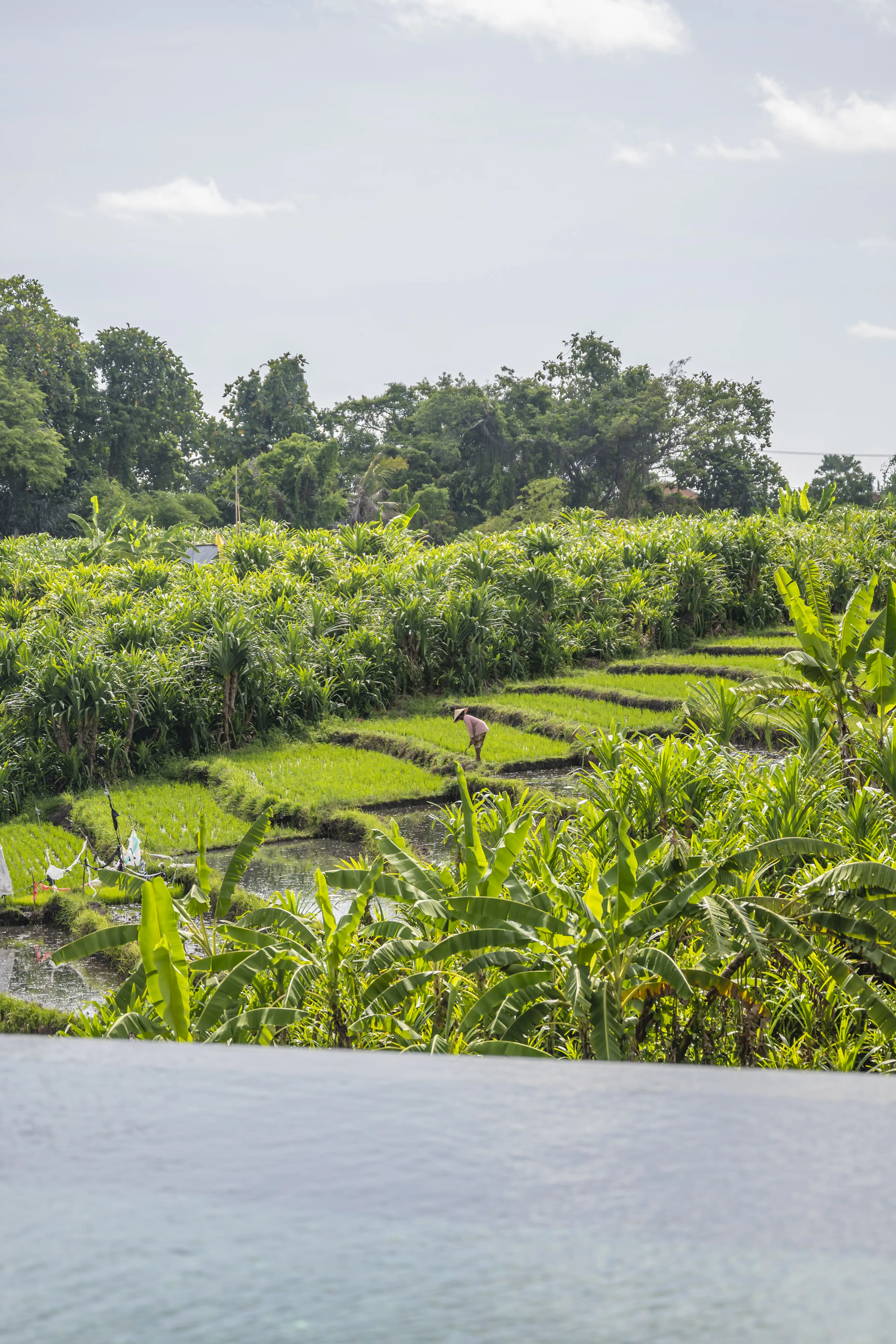 Villa 2180m² in Indonesia, Canggu. Priced at 7000000$ rent photo-1