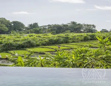 Buy in Indonesia for 7000000$