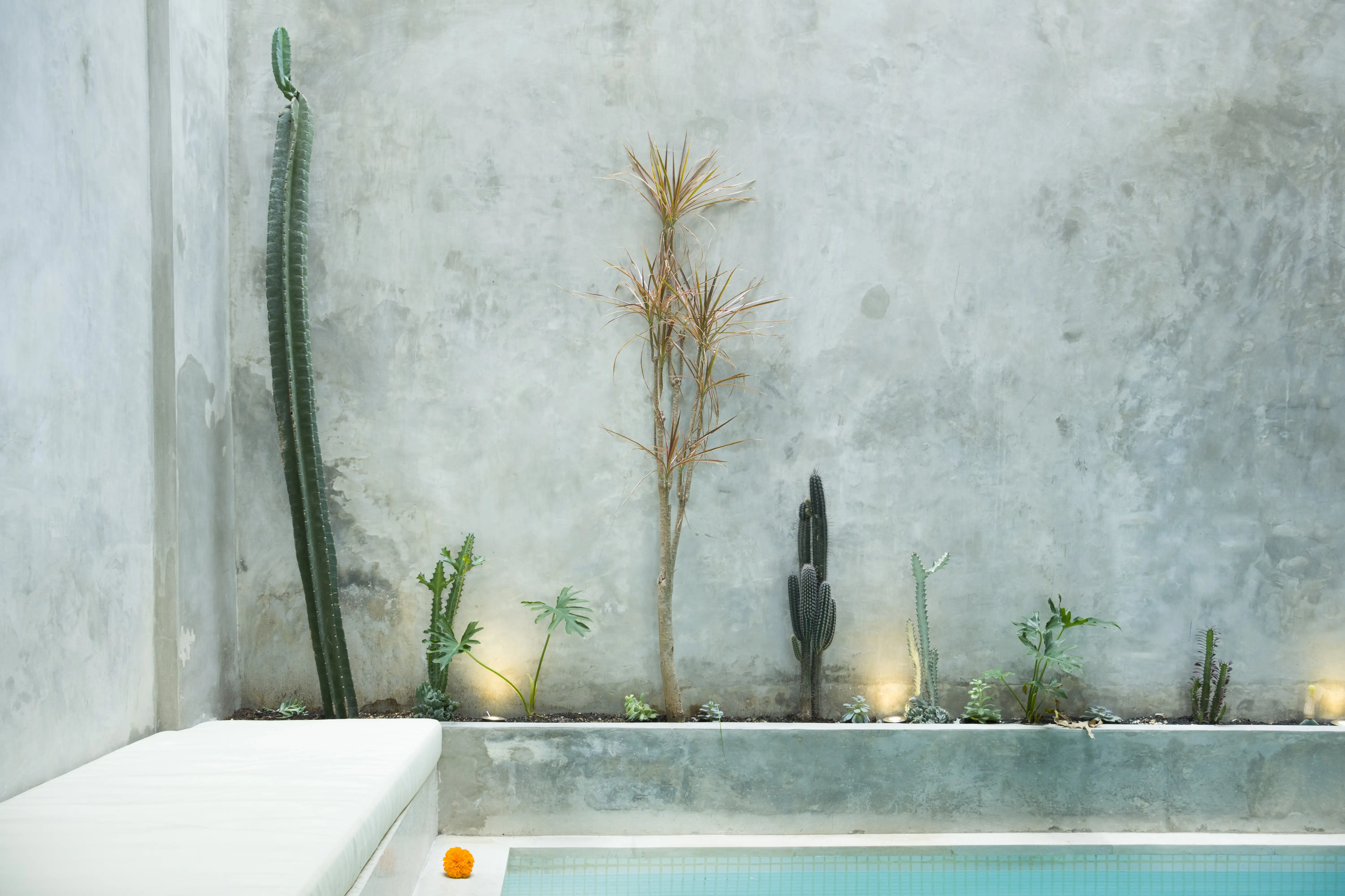Villa 120m² in Indonesia, Canggu. Priced at 199000$ rent photo-8