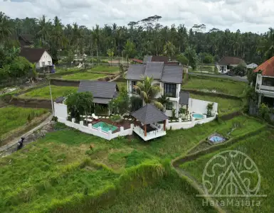 Buy in Indonesia for 90000$