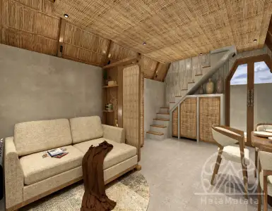 Buy in Indonesia for 150000$