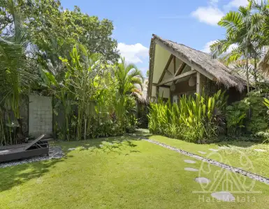 Buy in Indonesia for 320000$