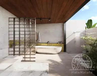 Buy in Indonesia for 400000$