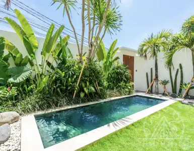 Buy in Indonesia for 295000$