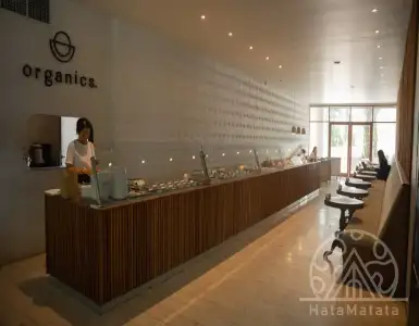 Buy in Indonesia for 199000$