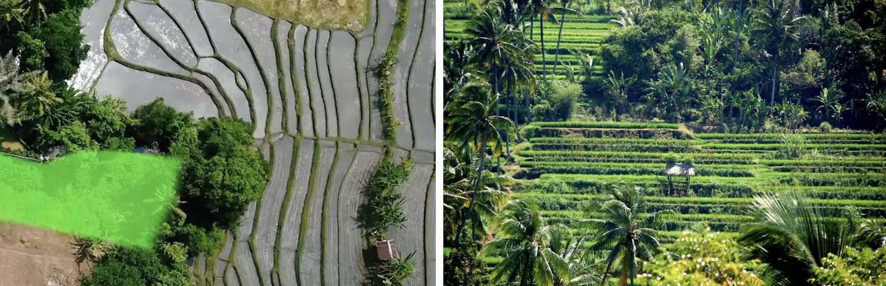 Land 0m² in Indonesia, Canggu. Priced at 275430$ rent photo-2
