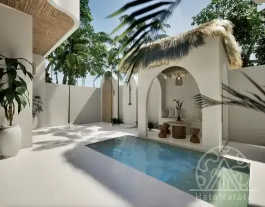 Buy in Indonesia for 220000$