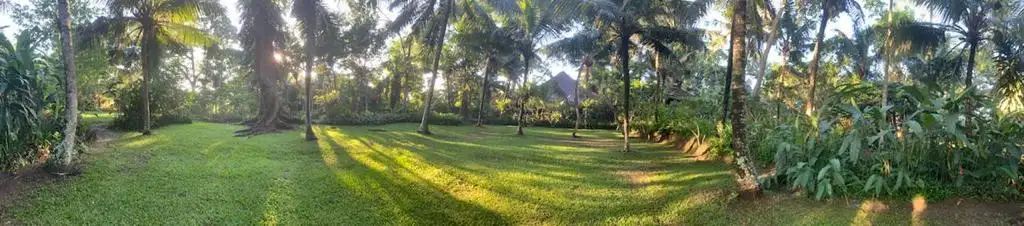 Land 0m² in Indonesia, Ubud. Priced at 290000$ rent photo-6