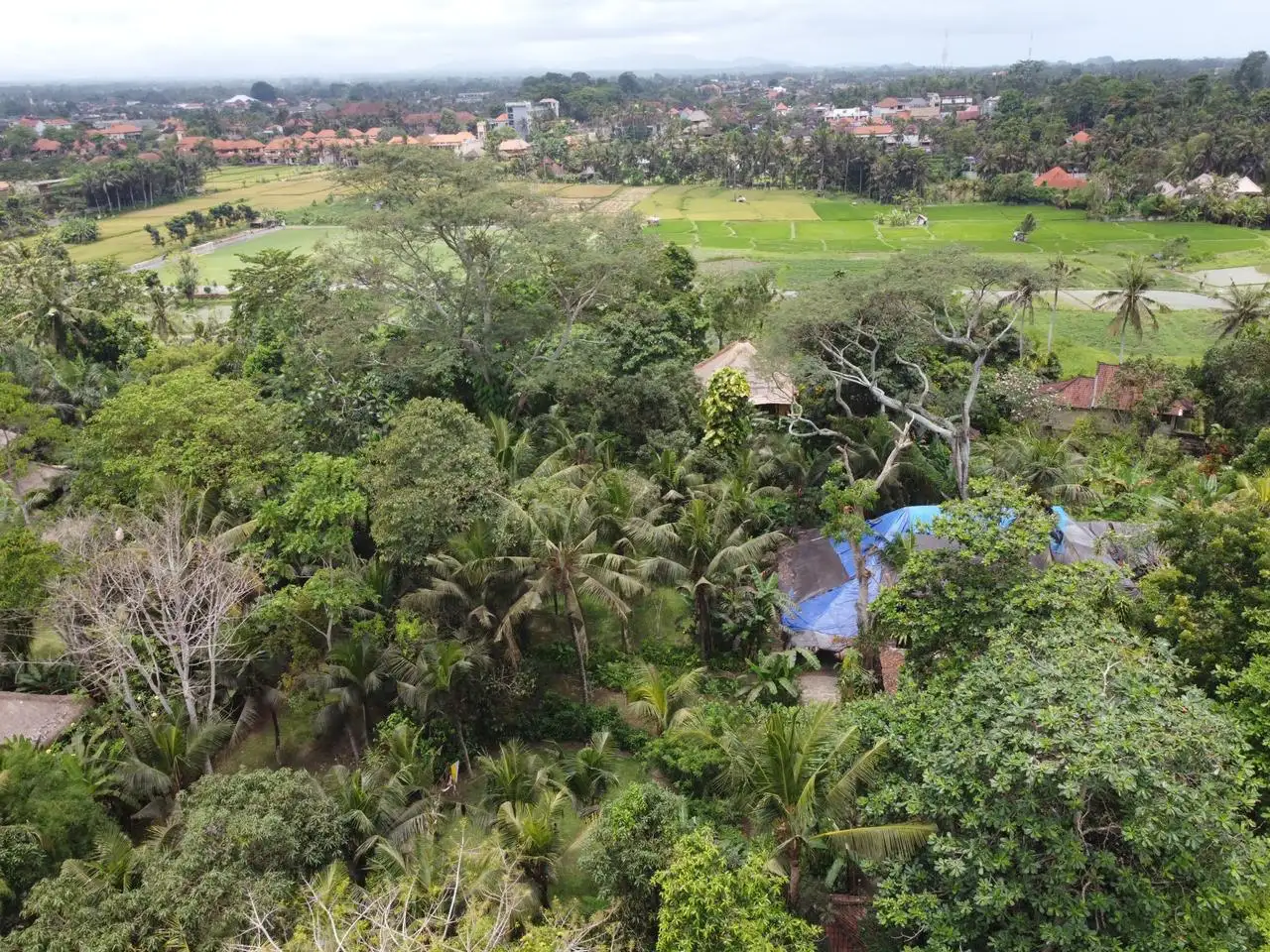 Land 0m² in Indonesia, Ubud. Priced at 290000$ rent photo-8