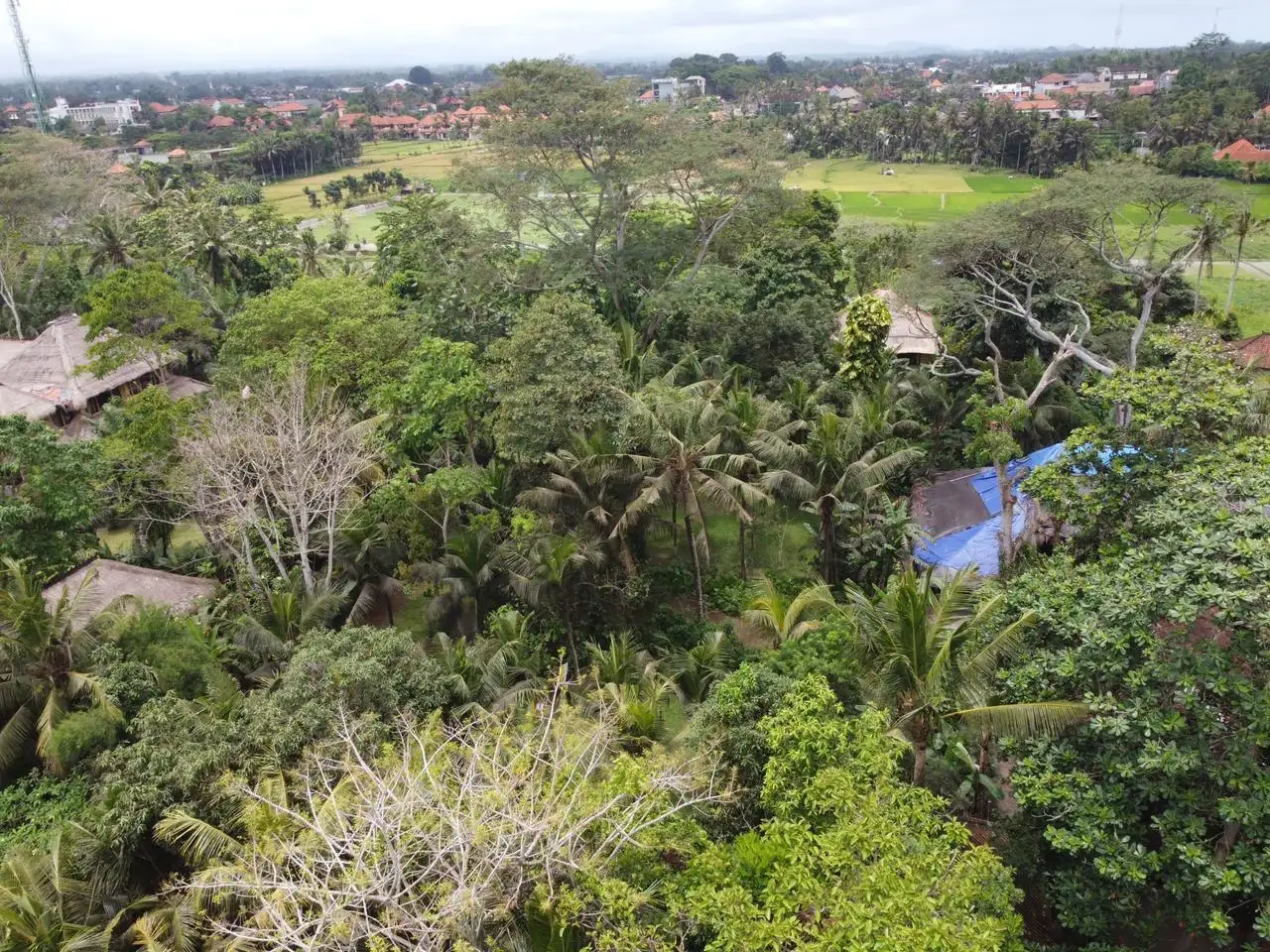 Land 0m² in Indonesia, Ubud. Priced at 290000$ rent photo-14