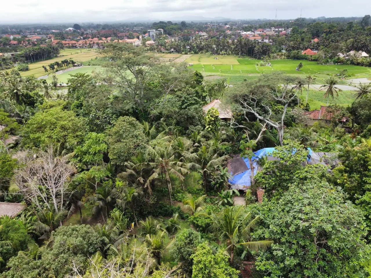 Land 0m² in Indonesia, Ubud. Priced at 290000$ rent photo-15