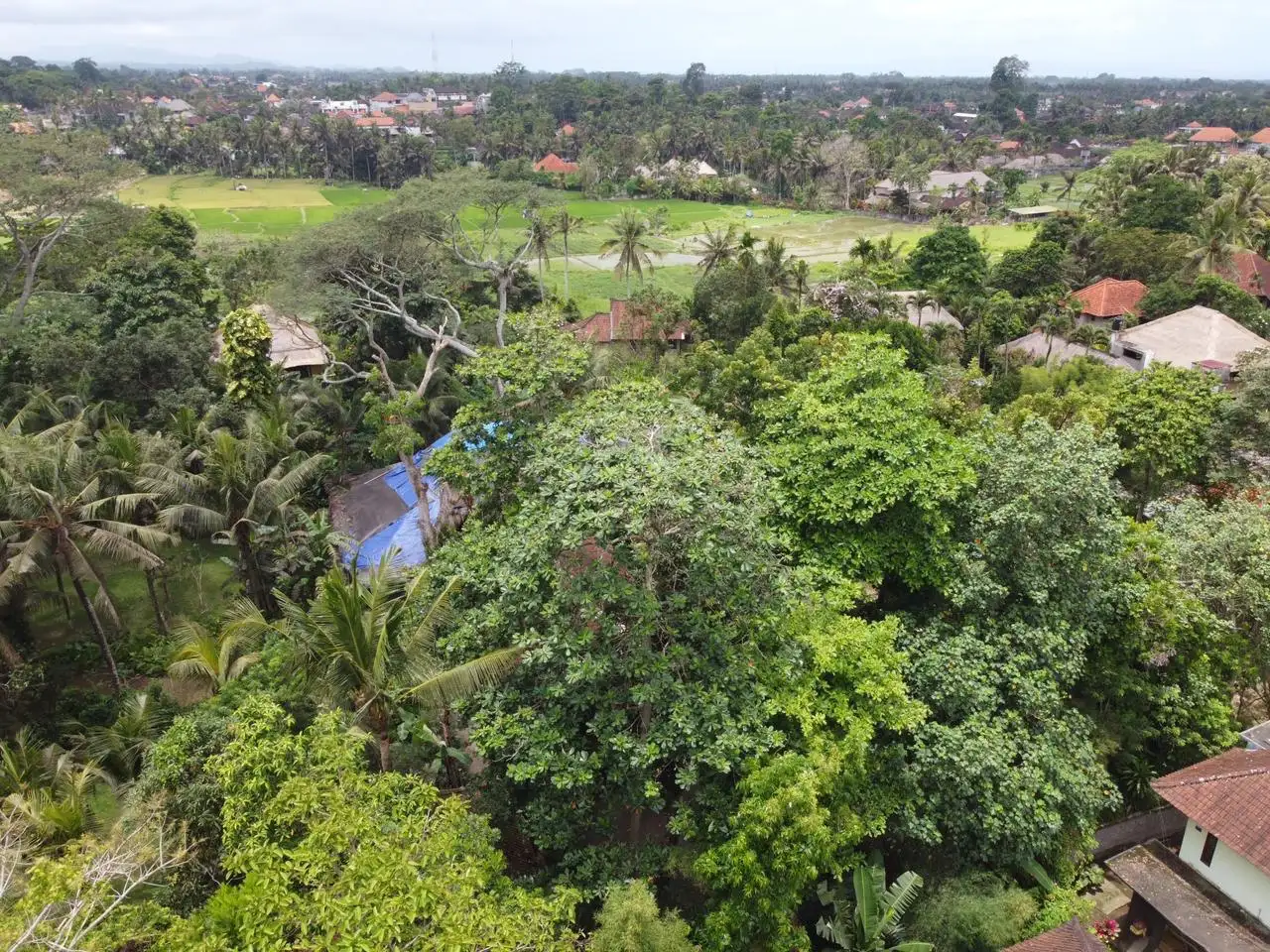 Land 0m² in Indonesia, Ubud. Priced at 290000$ rent photo-16