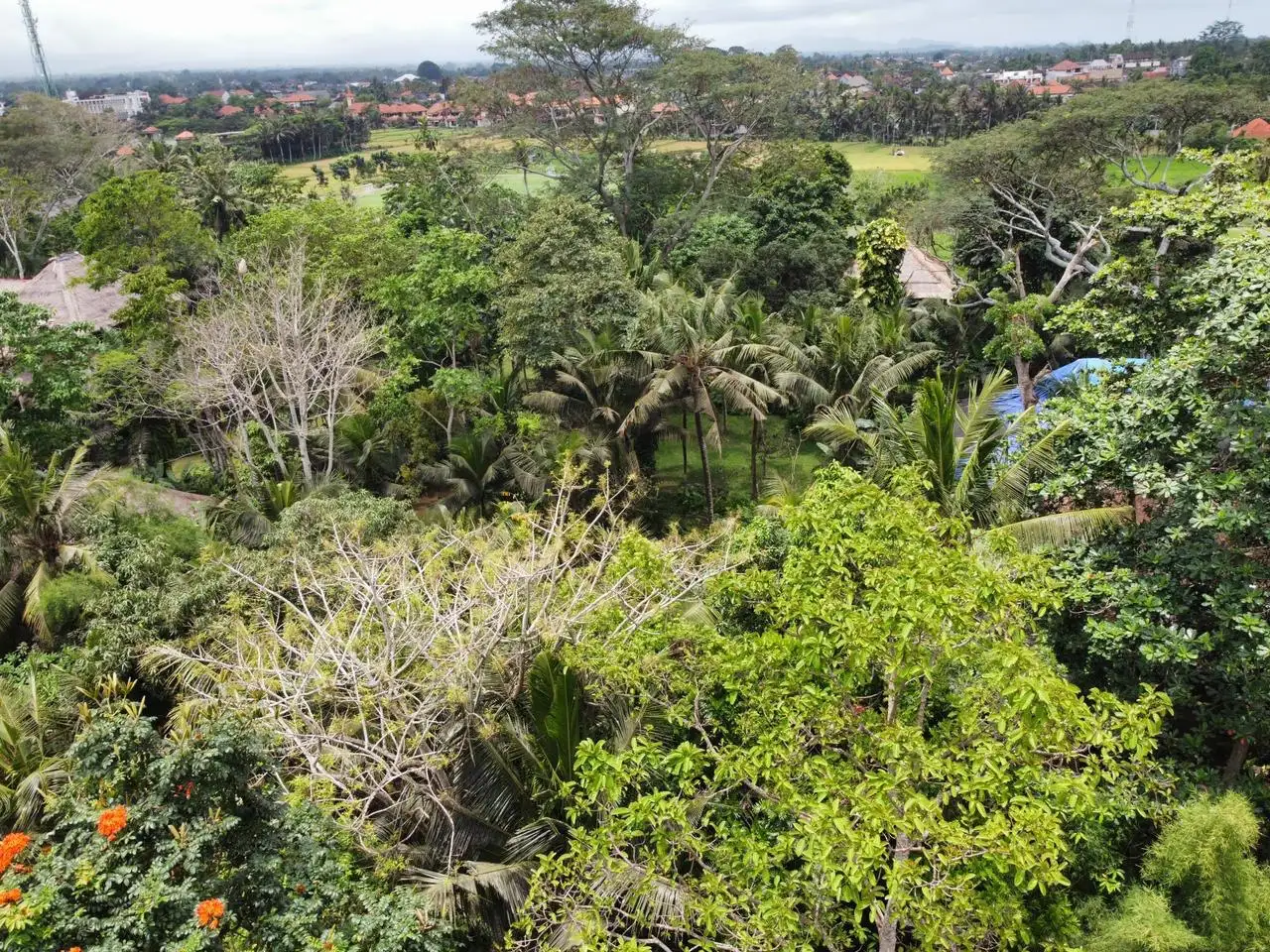 Land 0m² in Indonesia, Ubud. Priced at 290000$ rent photo-17