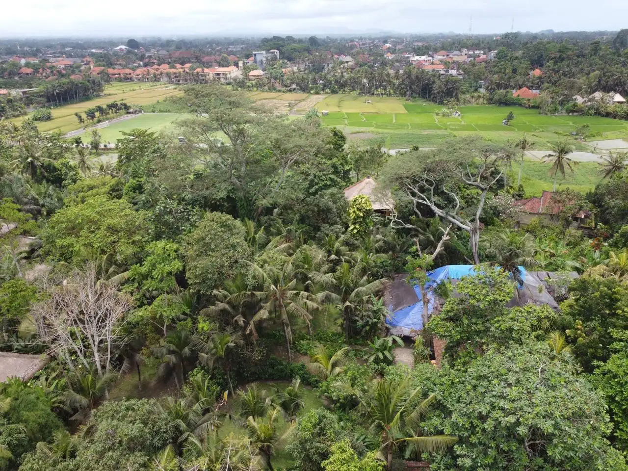 Land 0m² in Indonesia, Ubud. Priced at 290000$ rent photo-18