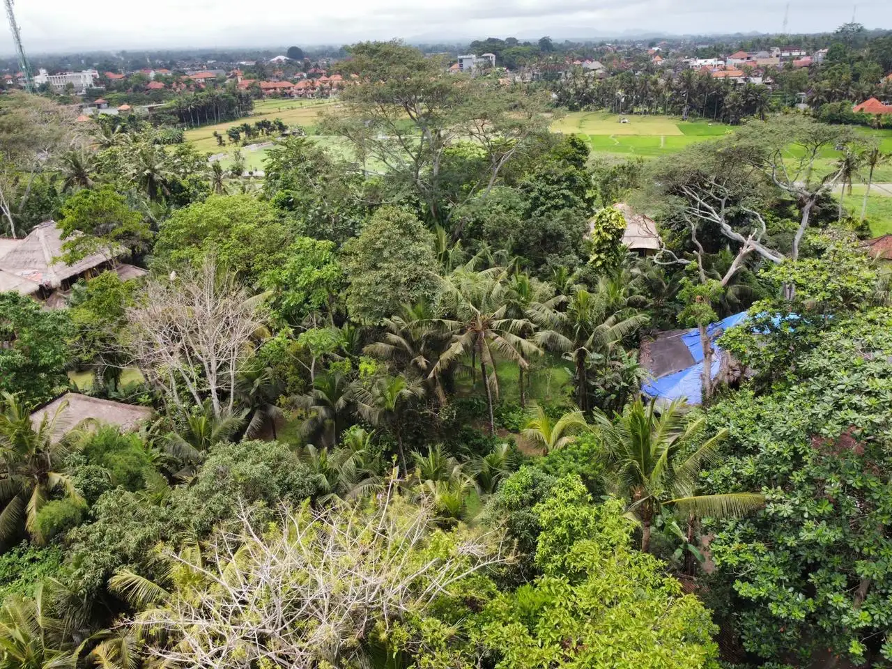 Land 0m² in Indonesia, Ubud. Priced at 290000$ rent photo-20