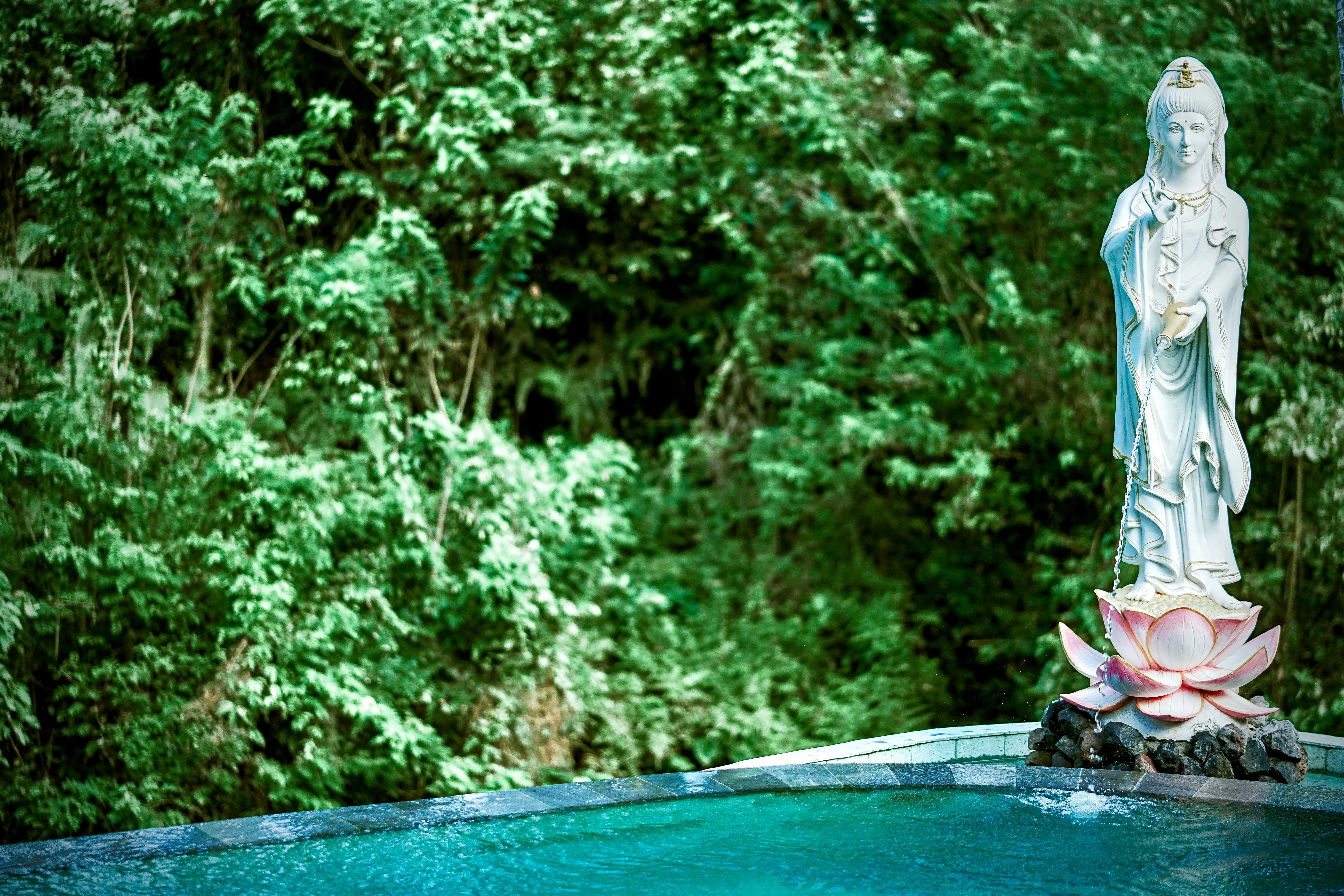 Villa 500m² in Indonesia, Ubud. Priced at 579000$ rent photo-1