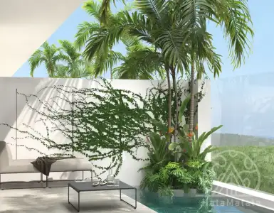 Buy in Indonesia for 305000$