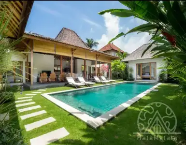 Buy in Indonesia for 413117$