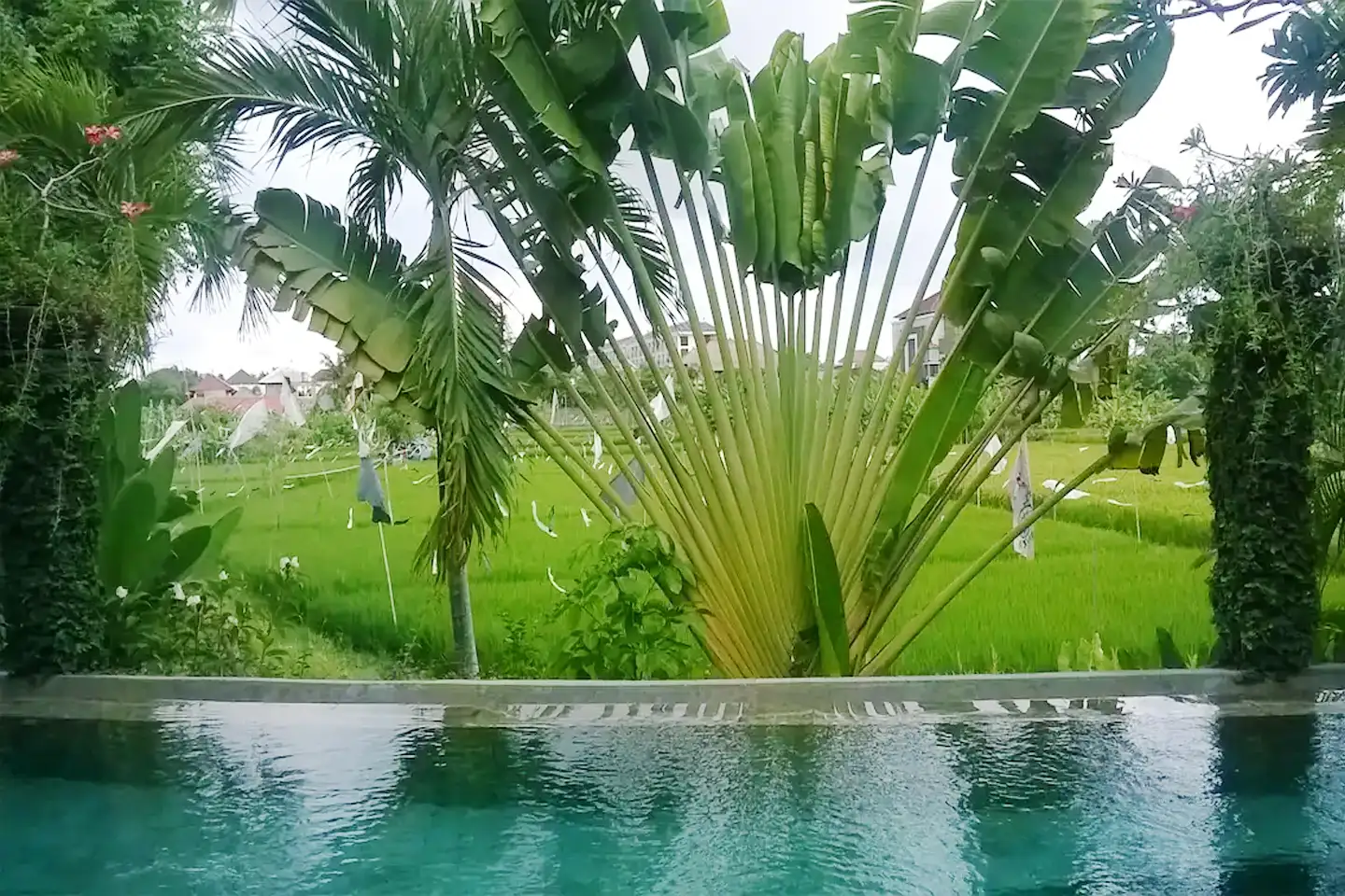Villa 180m² in Indonesia, Seminyak. Priced at 300000$ rent photo-8