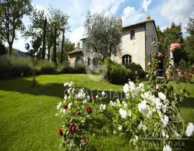 Buy in Italy for 3700000€