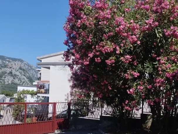 House 170m² in Montenegro, Sutomore. Priced at 350000€ rent photo-21
