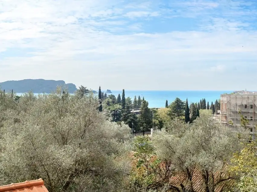 House 155m² in Montenegro, Budva. Priced at 850000€ rent photo-38